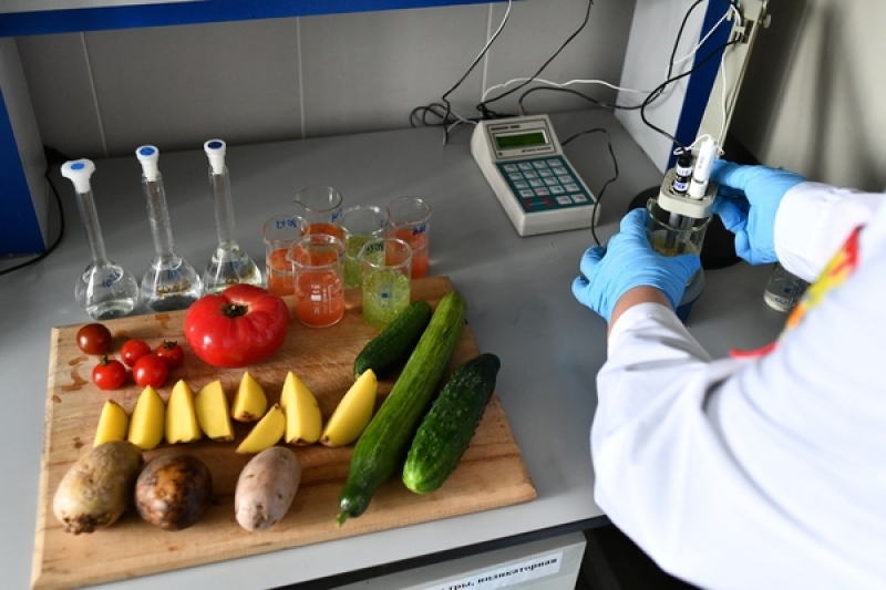 Овощи и фрукты проверили в лаборатории Кызылординской области